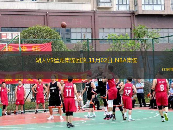 11月02日NBA常规赛湖人-猛龙精彩镜头